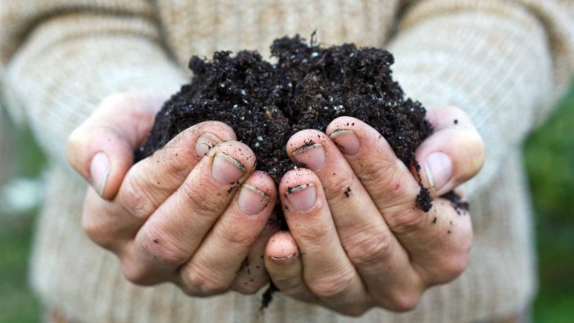 The APPG for Agroecology believes that Britain’s exit from the EU provides the opportunity to build a strategy for food and farming