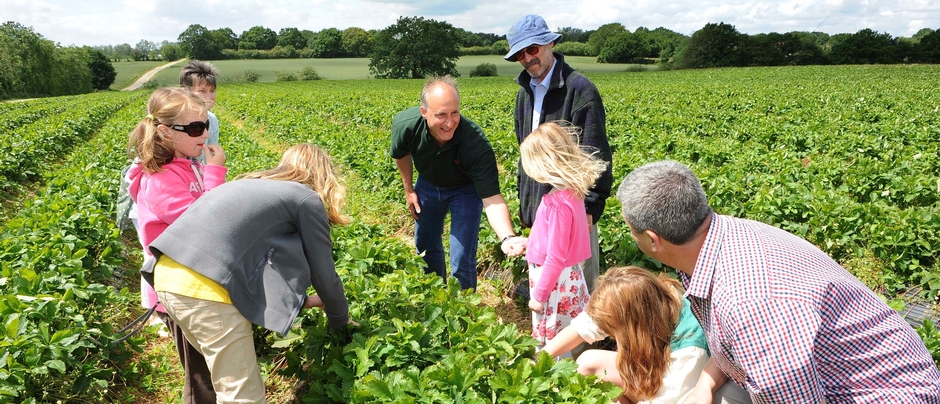 Since its launch in 2006, Open Farm Sunday has seen more than 1.6 million people visit a farm