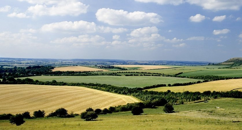 Despite the uncertainty of Brexit, agricultural property offers a secure rental yield
