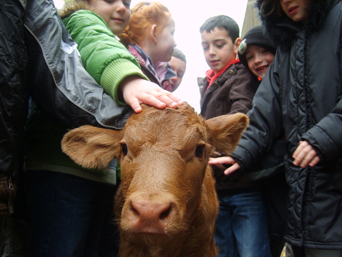 Disadvantaged children get farm visits boost thanks to landowners