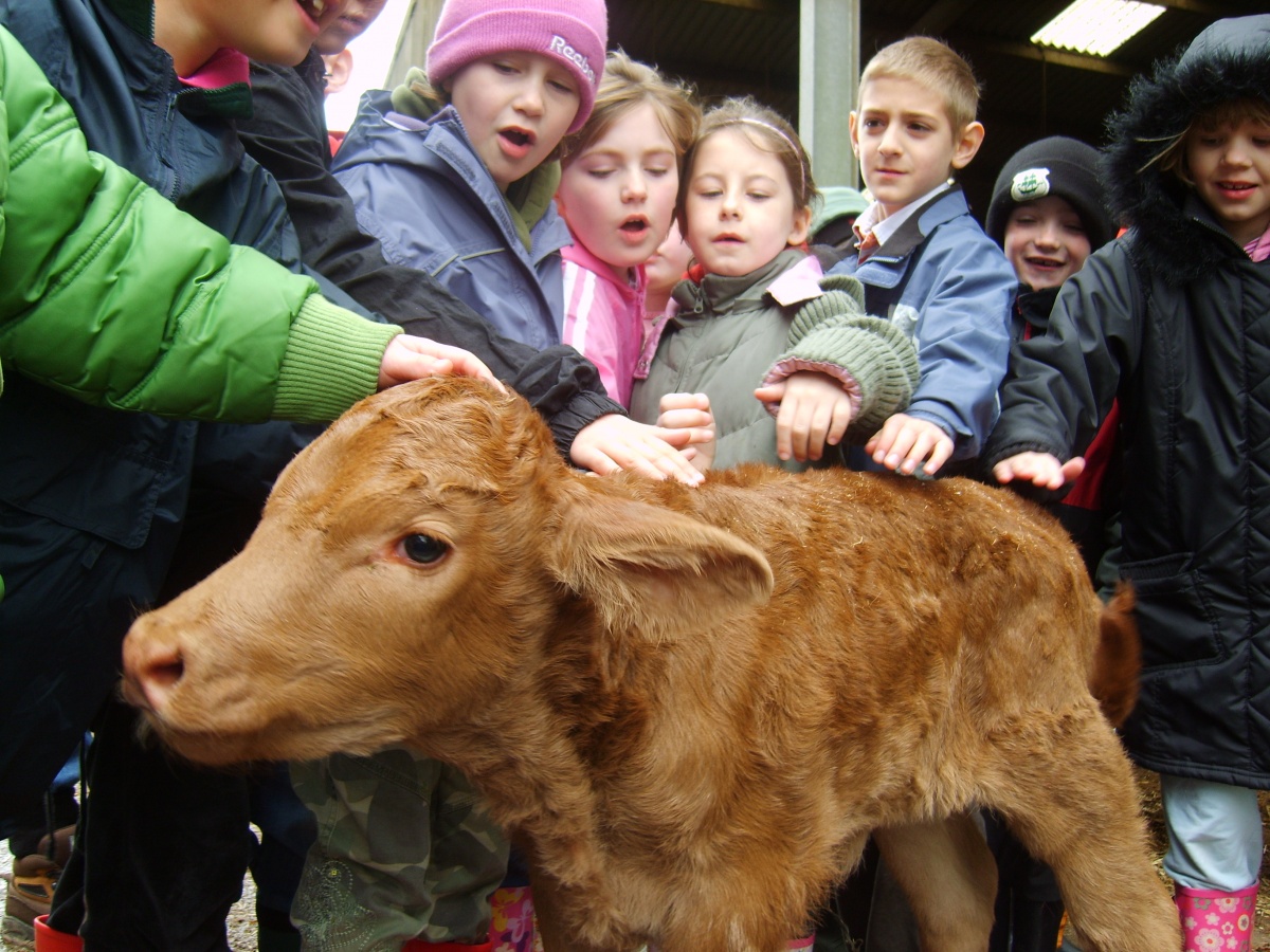 "We take children out to real working farms to meet the farmer, to learn where food comes from"