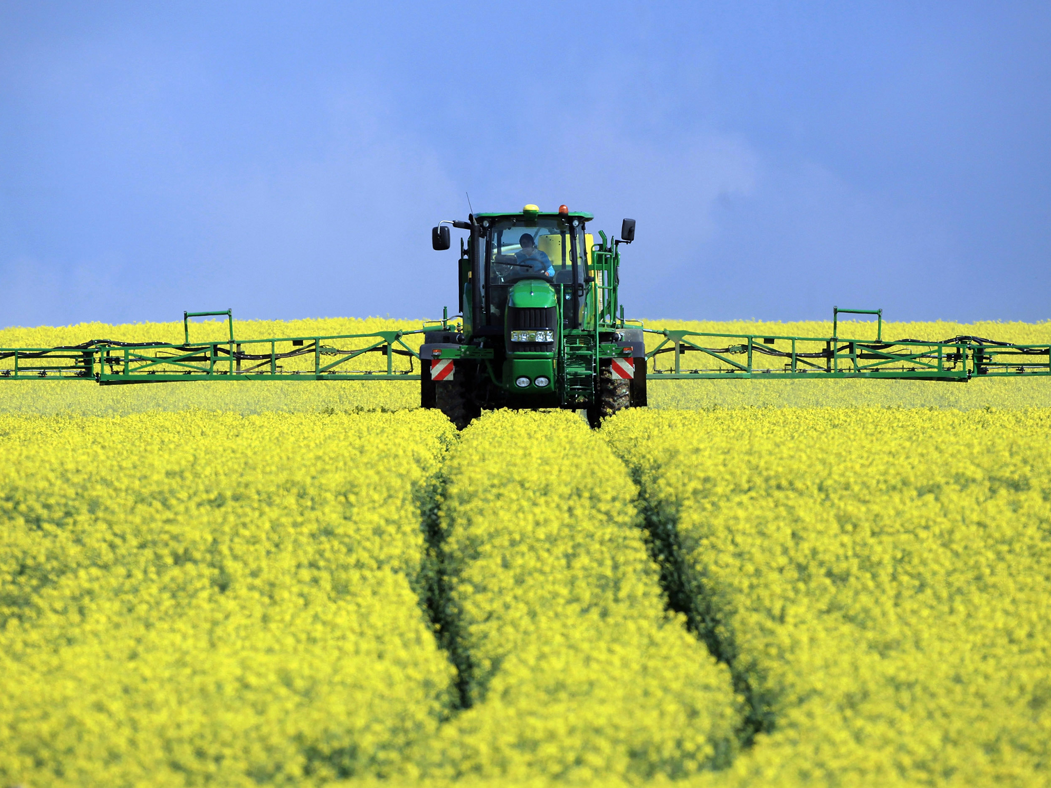 The survey says establishing oilseed rape crops this autumn has been challenging