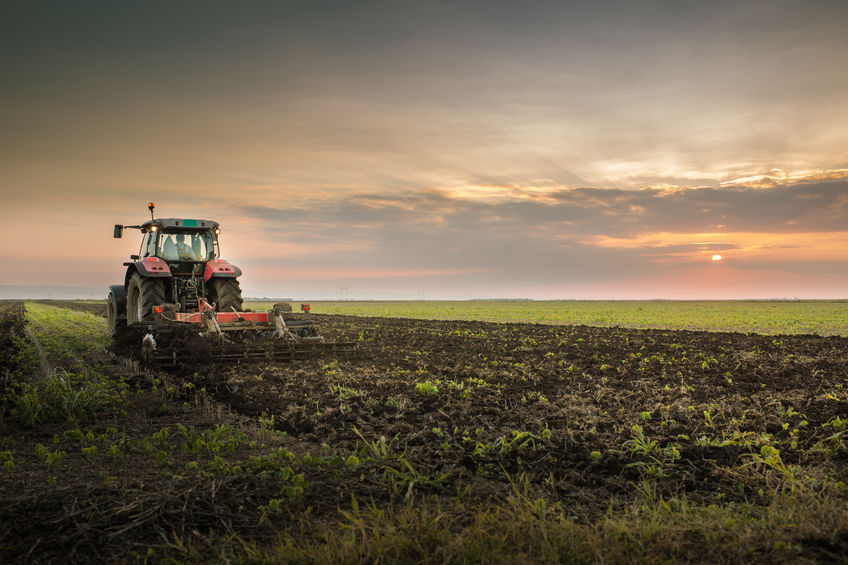 There is calls for a renewed global effort to replenish the health and fertility of the world's vital soils