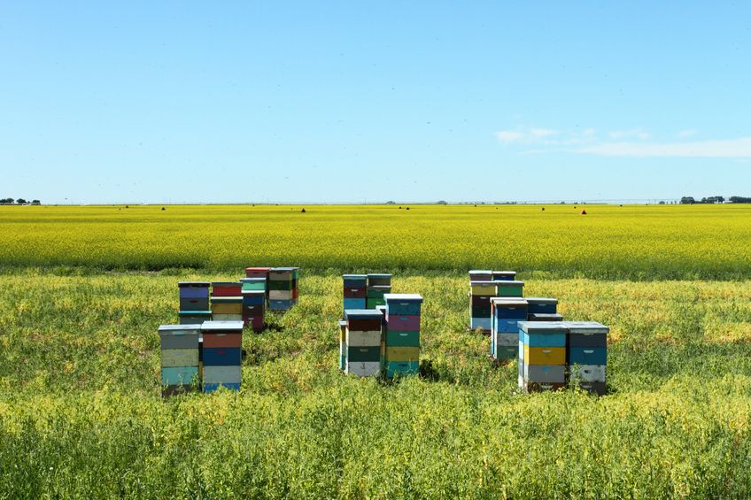The package will set out new basic standards to ensure EU countries work together to address plant pests