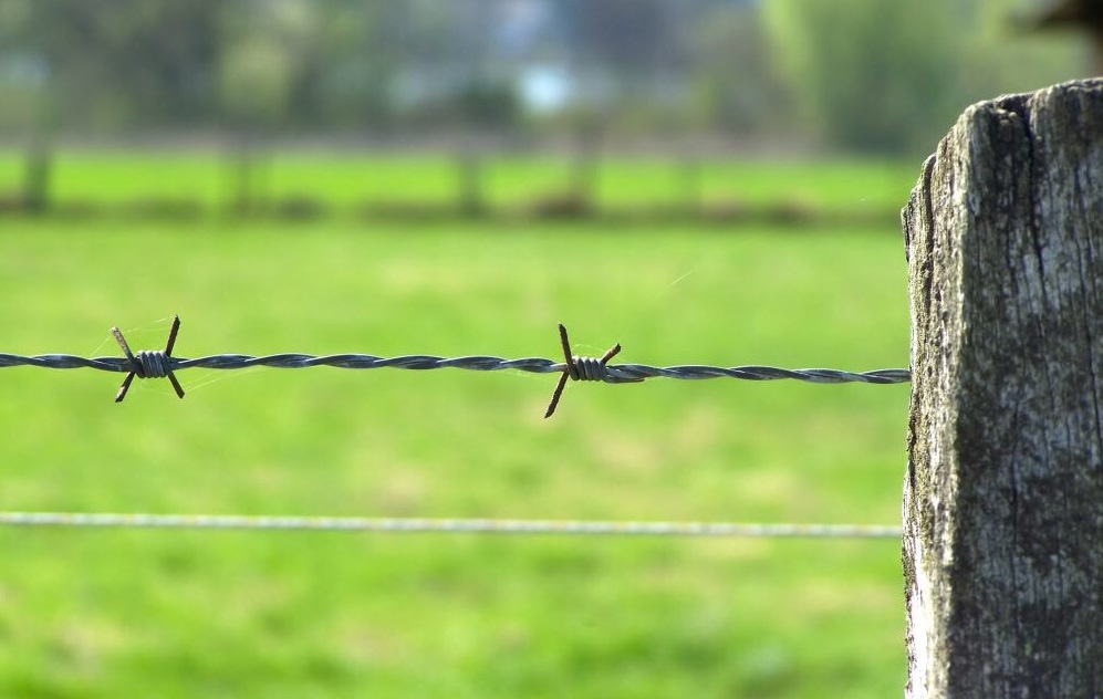 Farmers sentenced at Armagh Court for animal welfare breaches