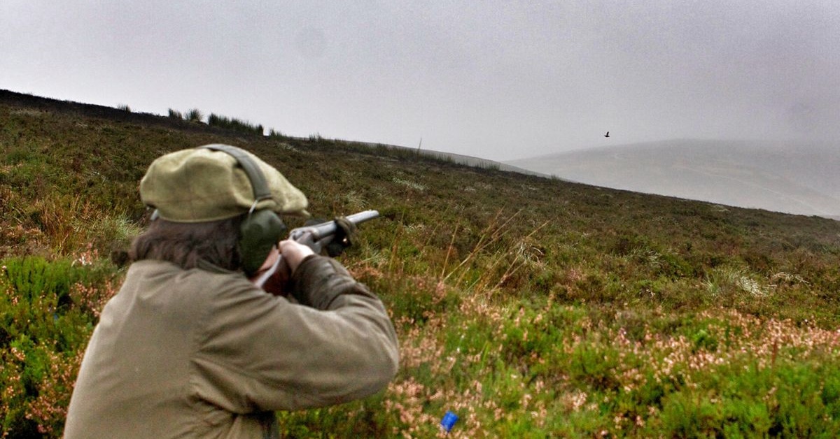 Supports of grouse shooting say the sport create jobs in rural areas