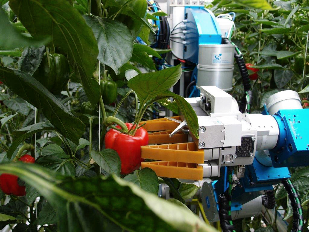 Robots are emerging as agricultural co-workers