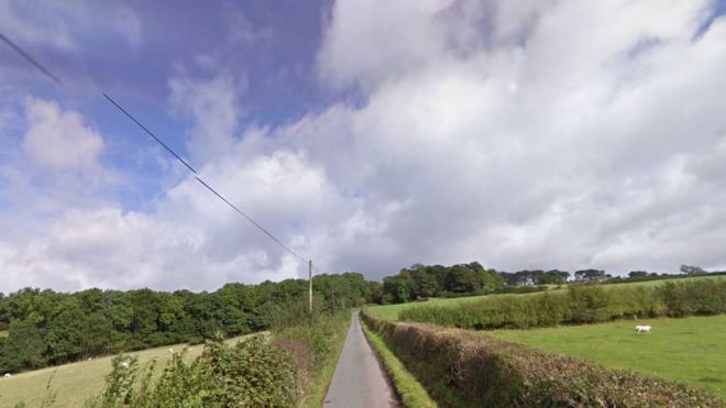The incident happened off Arbour Lane (Photo: Google Maps)