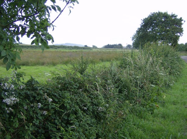 Planting trees and hedgerows can significantly increase water infiltration rate into soil and storage thereafter...