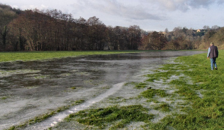 ... This reduces the potential for surface runoff and overland flow, which is key factor in reducing flood peaks