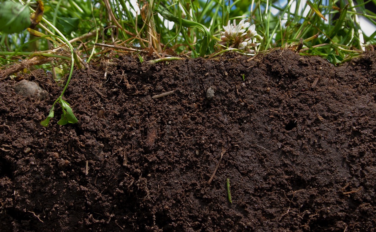 The tool can highlight trends and help propyzamide users assess whether soil temperatures are low enough