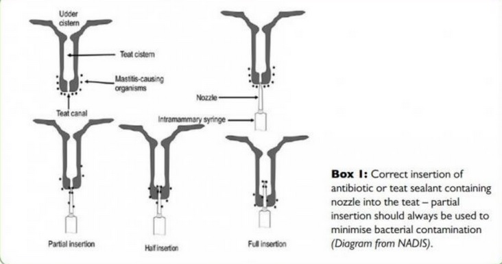 Box 1