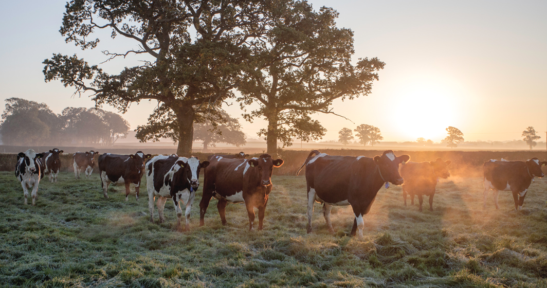 Barber’s will raise milk prices by almost 25%