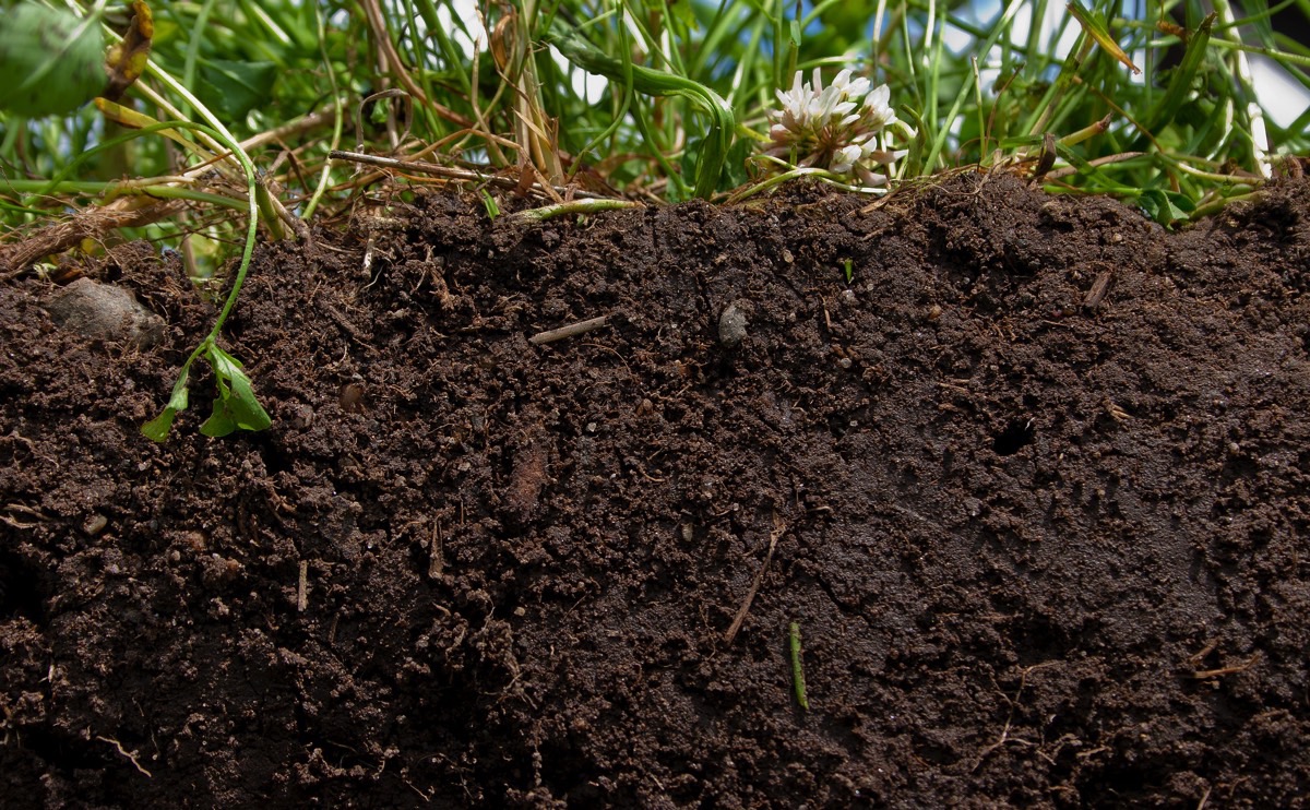 Experts have forecast that a quarter of the carbon found in soil in France could be lost during next 100 years