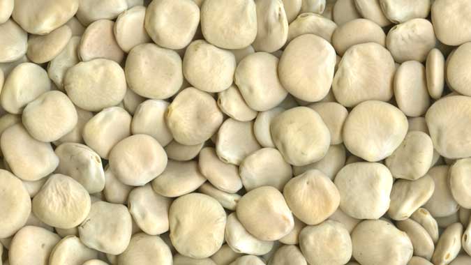 As a crop, lupins offer an alternative to imported soya as a UK-grown vegetable protein source which can be used as part of fish and livestock feed