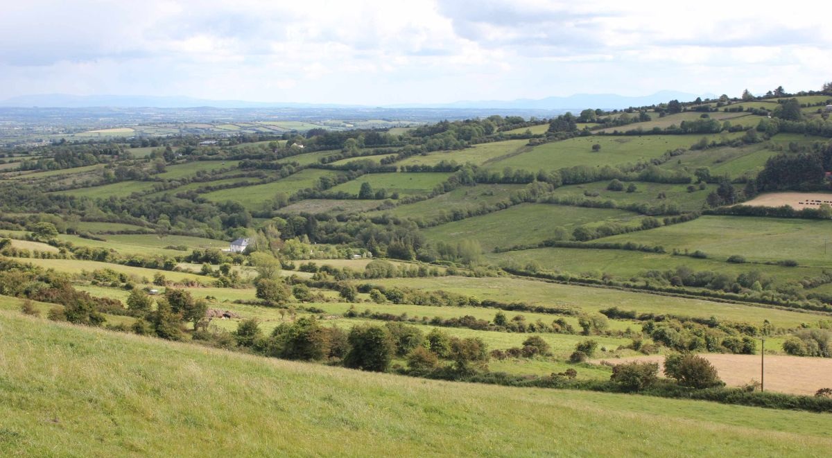 'We need to absolutely ensure that the location of habitat mitigation is fully considered'