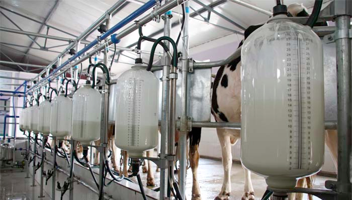 Dairy UK (NI) has claimed that the UFU's criticism of their members was 'unhelpful and unjustified'