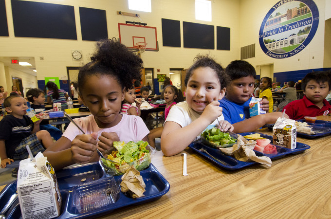 SFM works with parents and children to improve school meals and develop innovative food education programmes