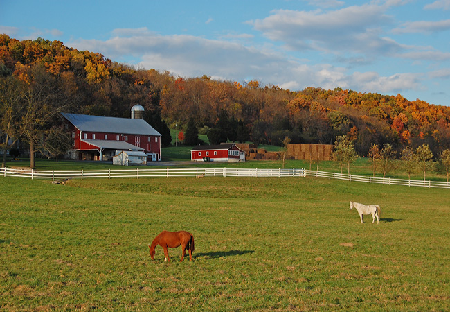 Rural votes across swing states helped boost Trump to victory