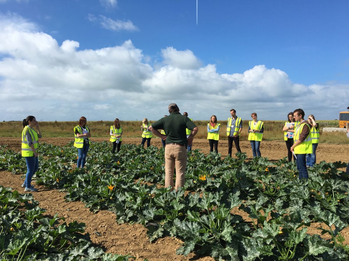 New study identifies scope for more innovation in horticulture (Photo: AHDB study group)
