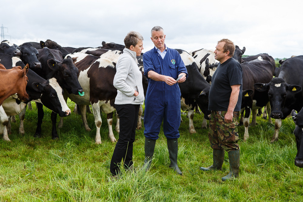 This field lab suggested the technique reduces feed costs