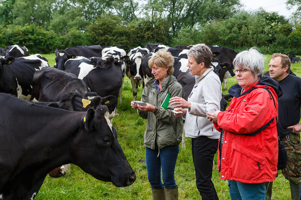 These Innovative Farmers used the Obsalim® technique to help analyse the physical condition of their animals