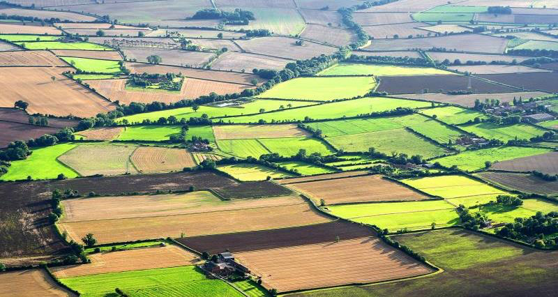 Over a quarter of farms reported diversification in the report