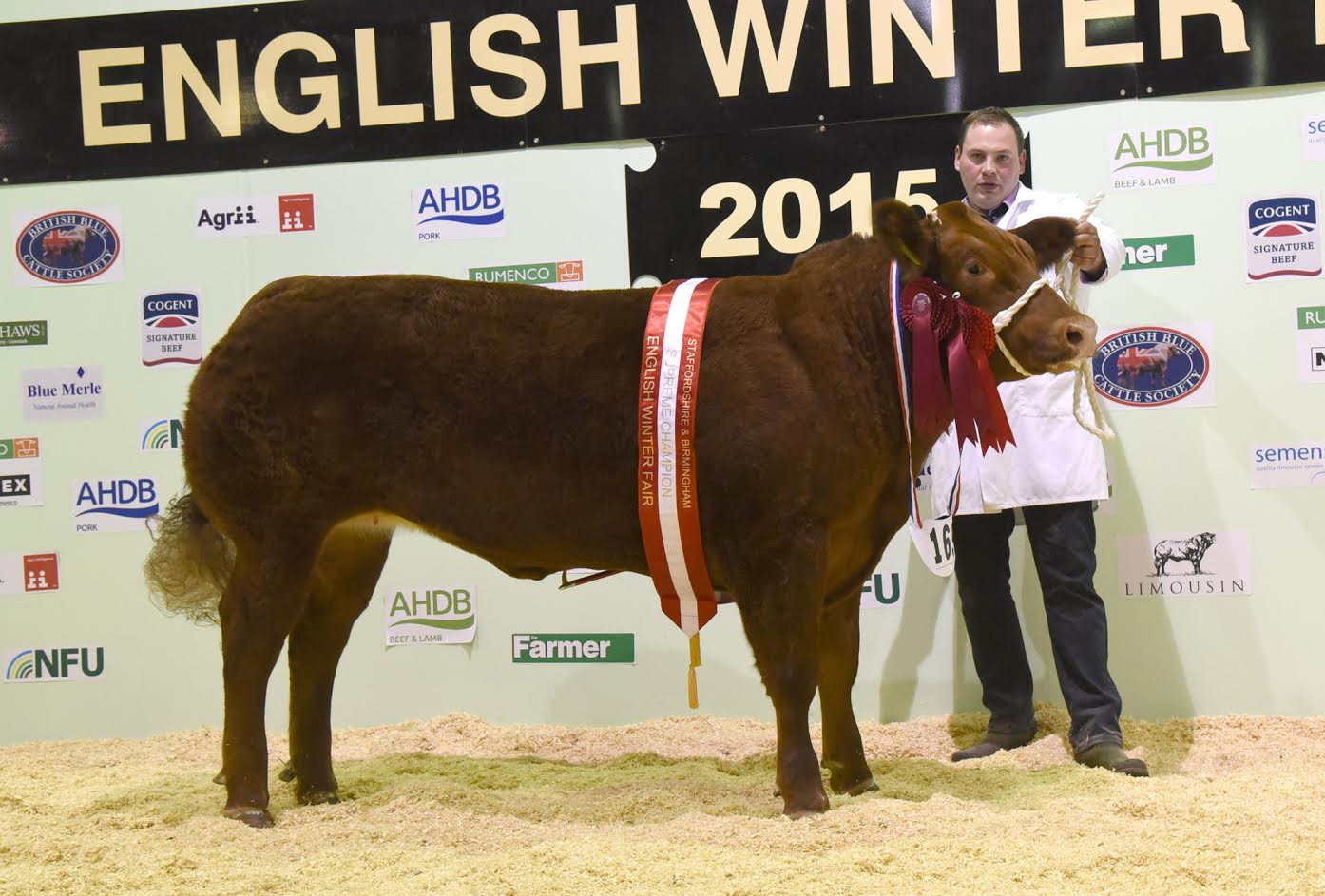 The show features pedigree and non-pedigree beef cattle judging, baby beef cattle judging, trade stands and more