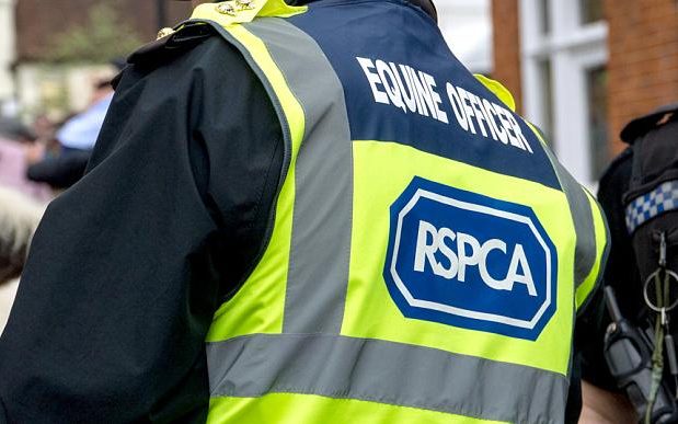 RSPCA 'should be stripped of its power to prosecute', MPs have said