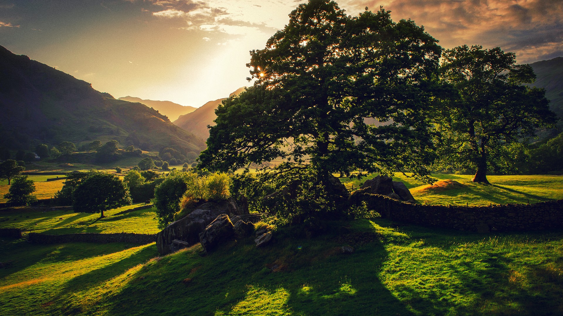 Farmers have supported the environment through increased applications for Countryside Stewardship