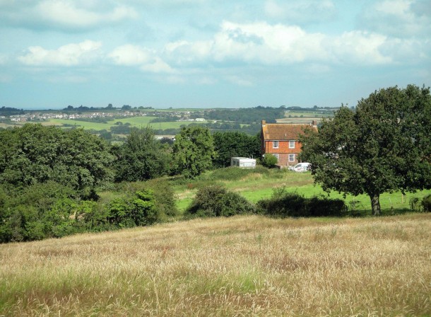 Sentiment in the rural market has not faltered post-EU referendum vote as land values stabilise