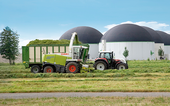 Ecotricity unveils plan for Britain to make its own gas – from grass (Photo: Ecotricity)