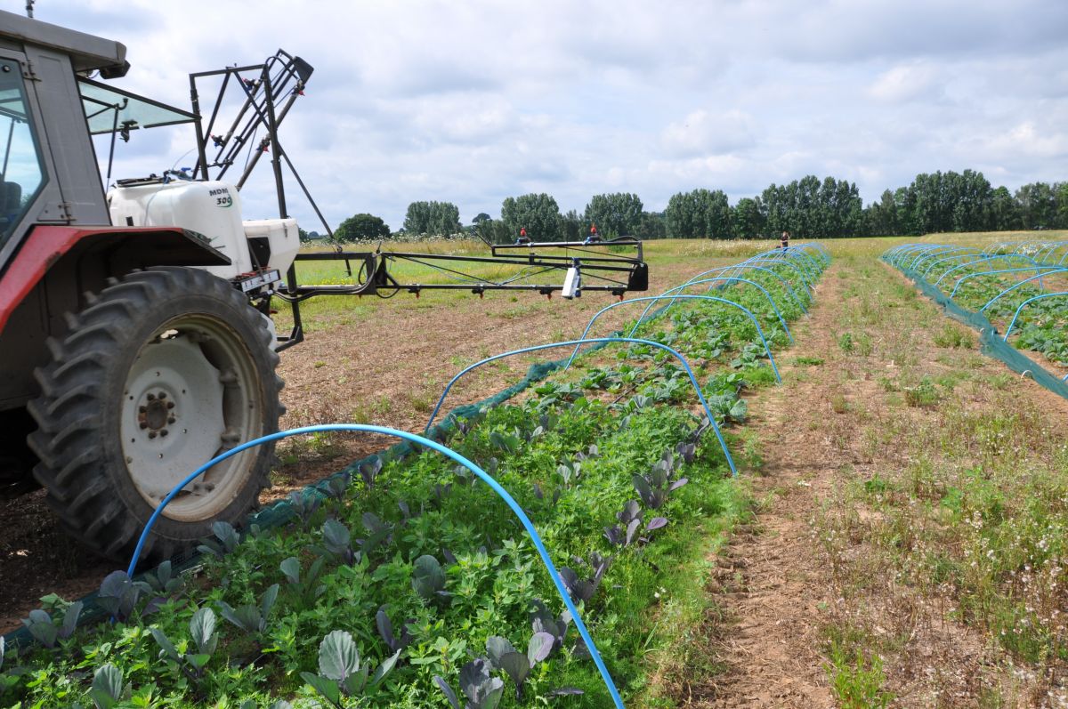 The approach aims to address environmental issues by cutting energy inputs and soil moisture loss