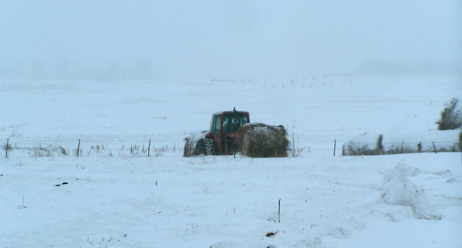 RSABI is highlighting its winter 'Help for Heating' Fund by offering a one-off grant of £300