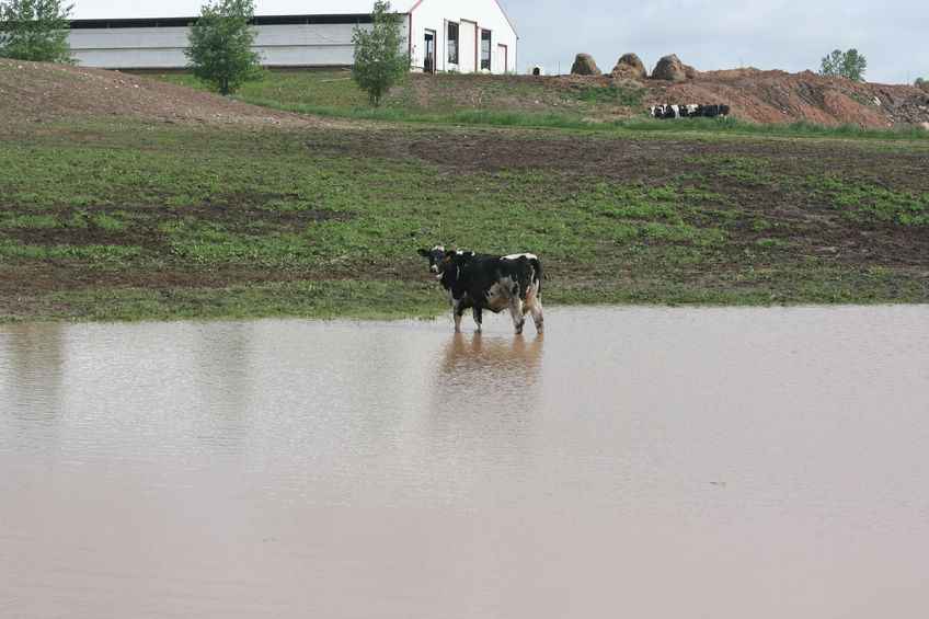 Farmers could be seeing an unwelcome return of flooded land this winter