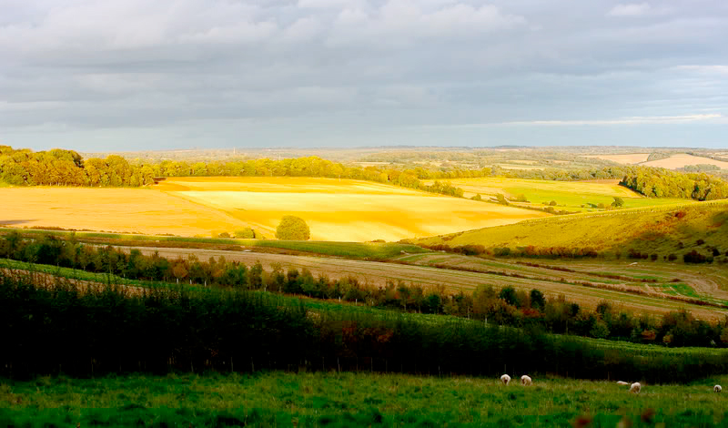 The current rural broadband roll-out is 'not sufficient' to meet the needs of most farmers