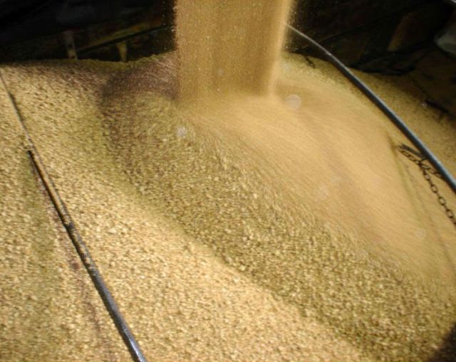 The Timbúes facility in Argentina is currently crushing more than 21,000 tonnes of soya beans per day