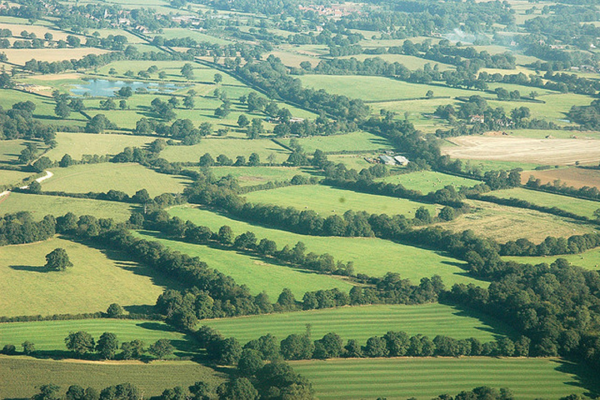 The total length of farmland hedges in England is 373,919km, which is enough to wrap itself around the Earth more than nine times...