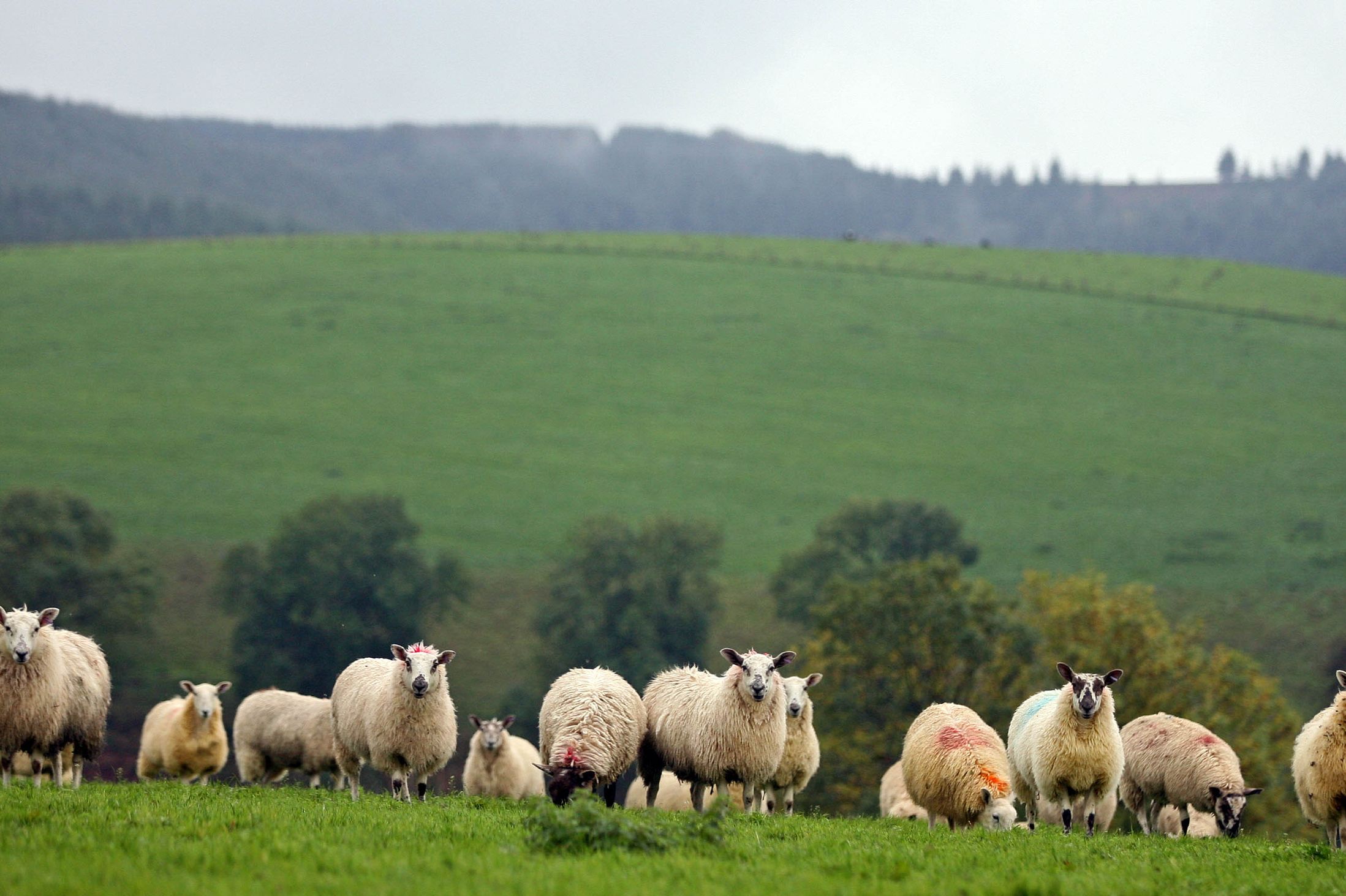 Farmers across all sectors have struggled with cash flow over the past year