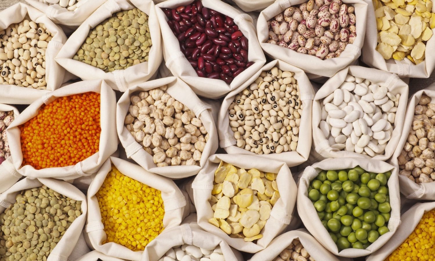 The United Nations General Assembly declared 2016 the International Year of Pulses