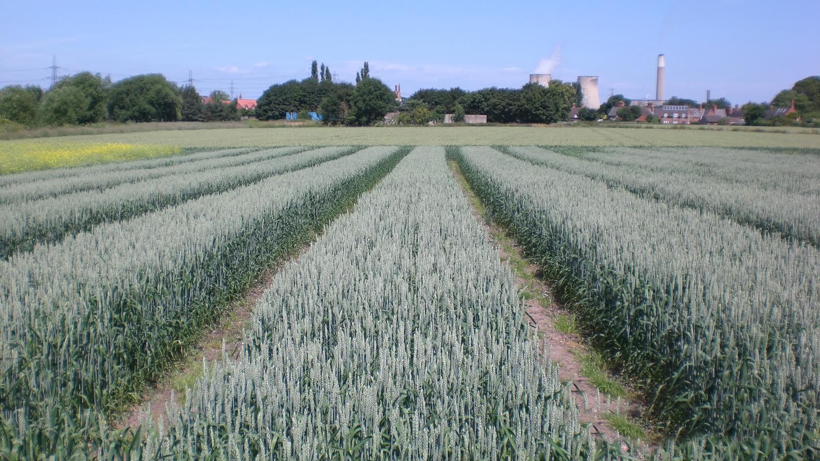 Gleadell sales director Stuart Shand said the focus for 2017 would be on organic crops