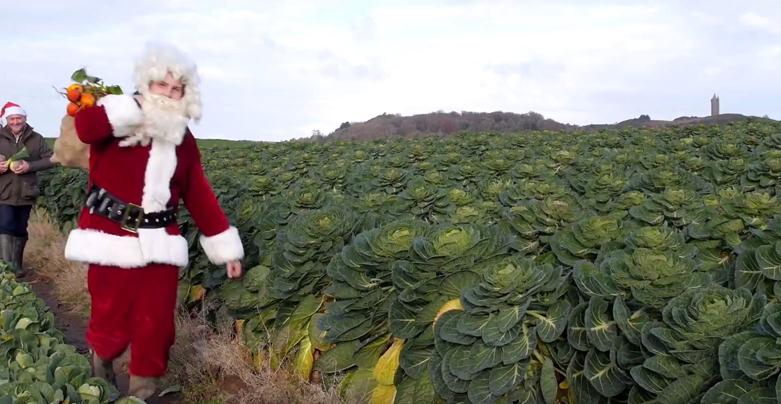Northern Ireland's vegetable growers feel festive with 'buy local