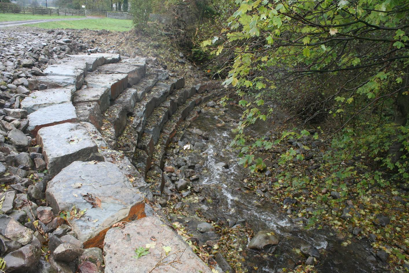 Mr Alderson's wall resembles an amphitheatre