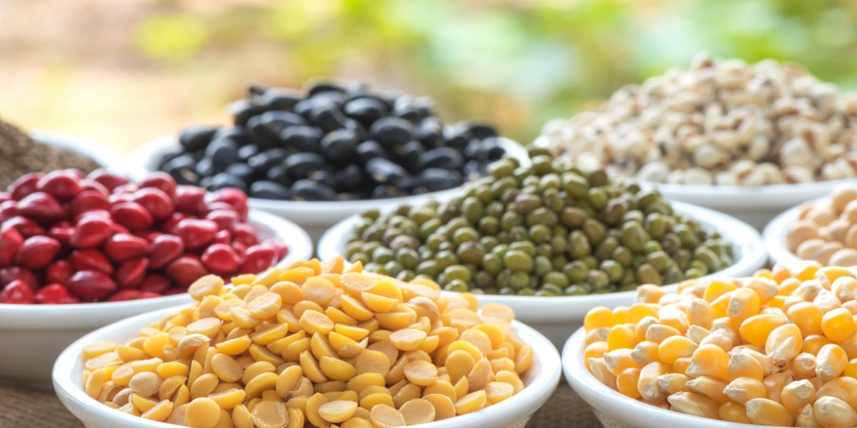 The report illustrates a variety of ways that pulses and soils can be