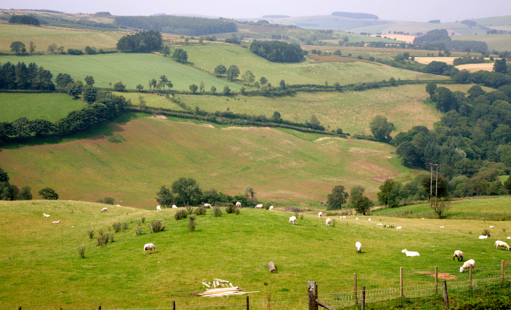 New figures compiled by Aberystwyth University's Welsh income report showed overall profit on many farms to be less than provided by the Basic Payment Scheme