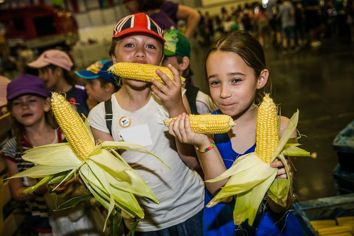 The Kids Country programme consists of interactive, hands-on events about food, farming and the countryside