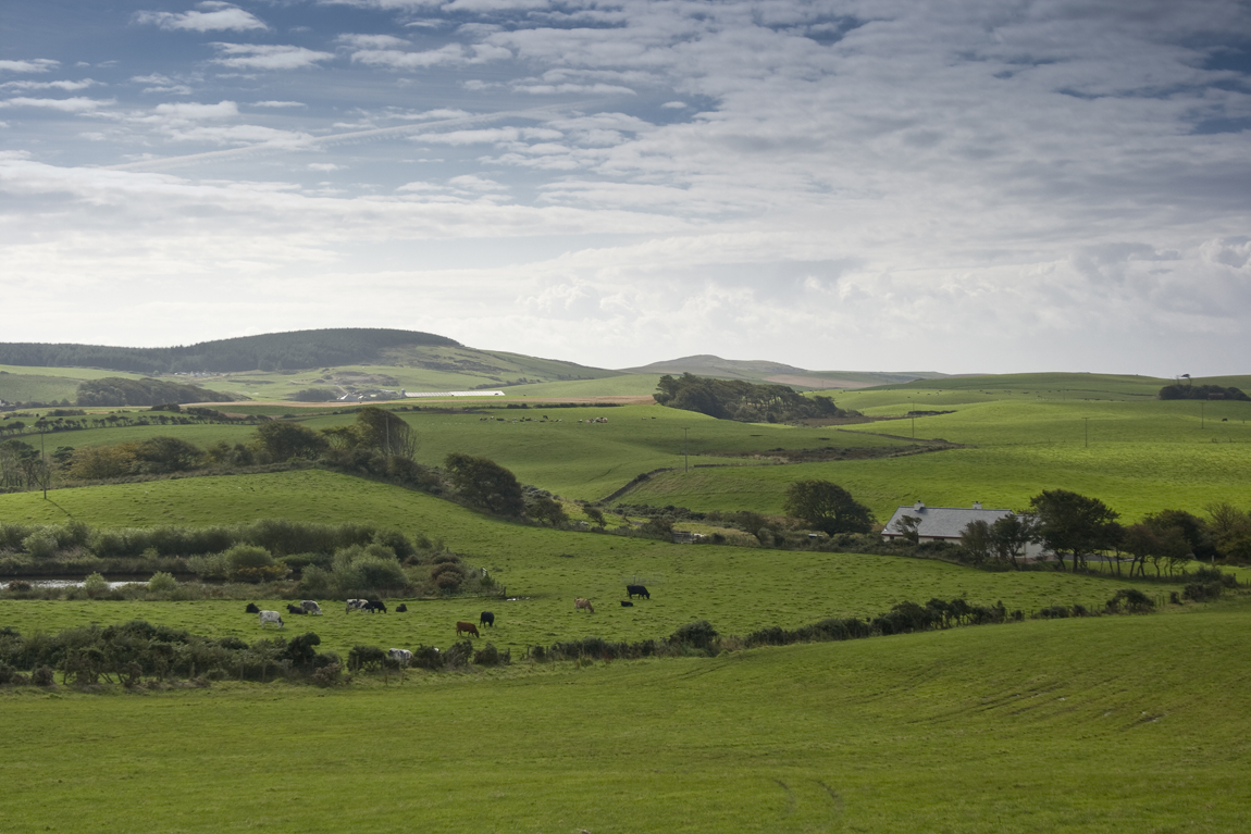 Access to land – 'a serious challenge' for Europe's farmers, the Committee says