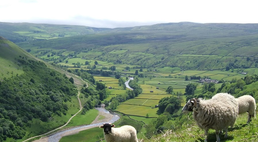 The Government is being urged to focus on UK's natural and cultural heritage