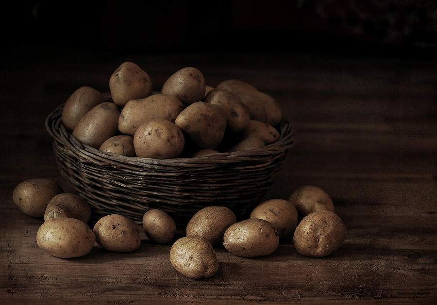 The Potato Soil Pest Survey has been created to evaluate the full extent of all key soil pests and their impact on profitable potato growing