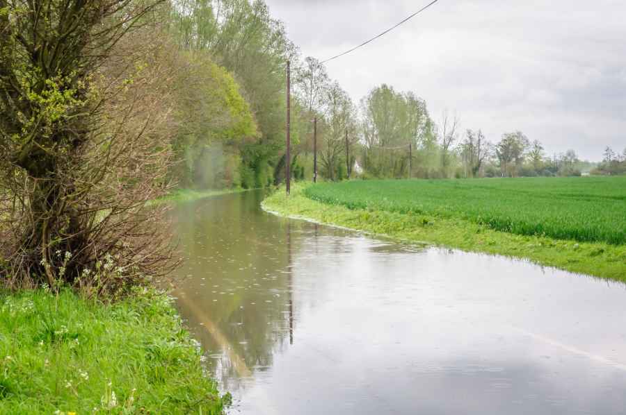 The team of scientists will consider the potential economic impact caused by coastal flooding, including the long-term effects of increased levels of soil salinity on agricultural land